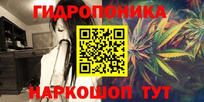 спиды Гатчина