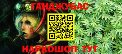 спиды Гатчина