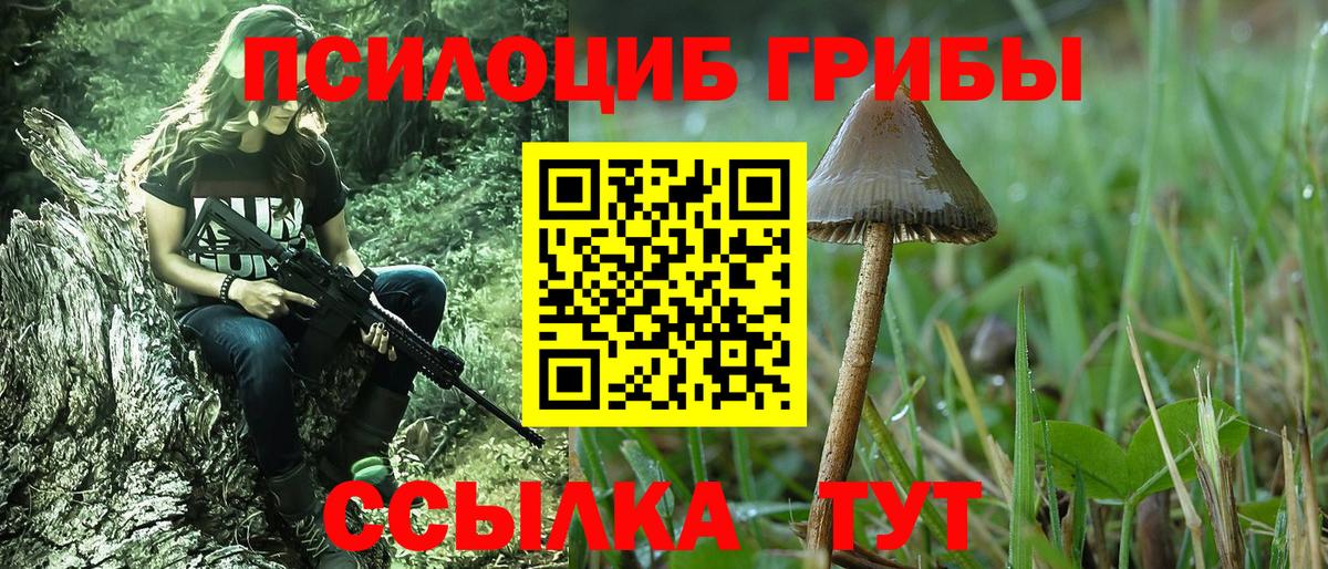 Нурлат  Псилоцибиновые грибы мухоморы  Вход с VPN 